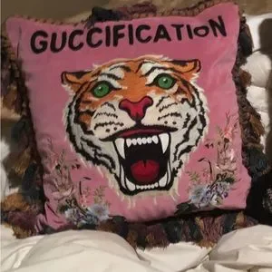 Gucci | Accents | Guccis Pink Velvet Cushion Entirely